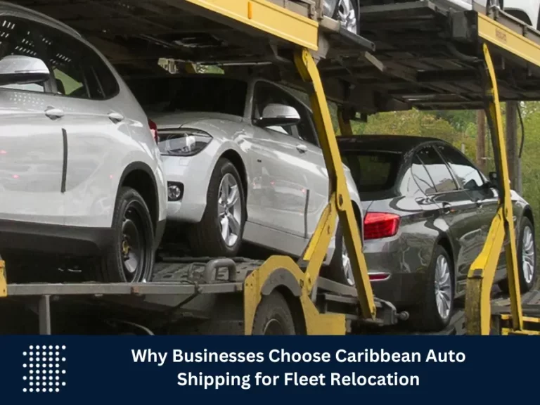Why Businesses Choose Caribbean Auto Shipping for Fleet Relocation