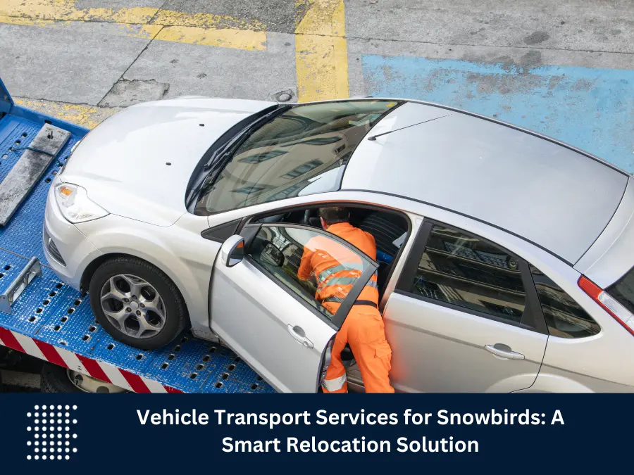 Vehicle Transport Services